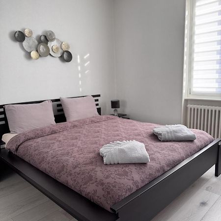 Appartement Des 3 Pays. 2 Mn De Bale+ Free Parking Saint-Louis  Buitenkant foto