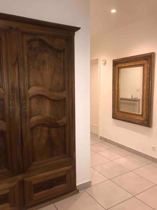 Appartement Des 3 Pays. 2 Mn De Bale+ Free Parking Saint-Louis  Buitenkant foto