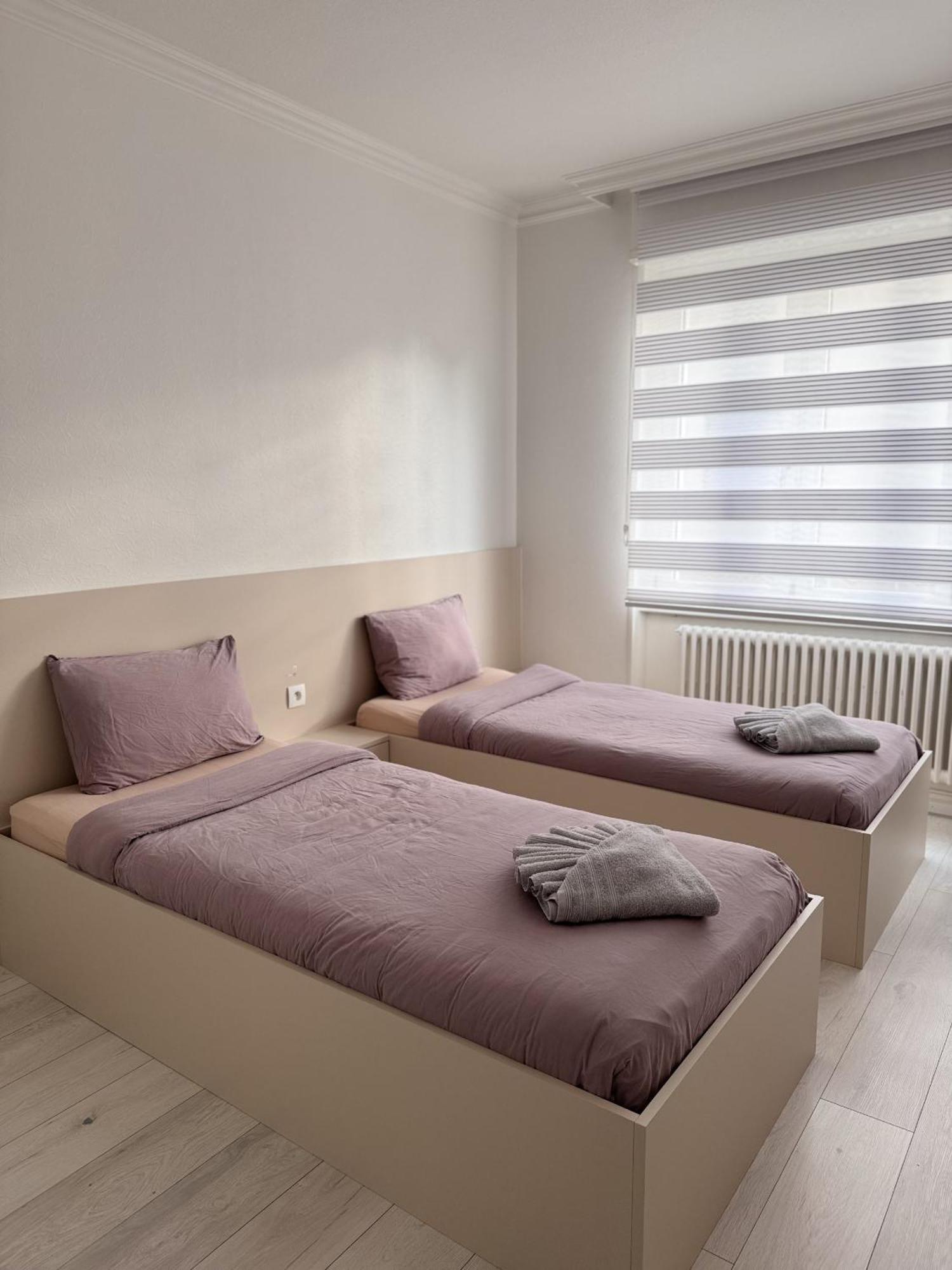 Appartement Des 3 Pays. 2 Mn De Bale+ Free Parking Saint-Louis  Buitenkant foto
