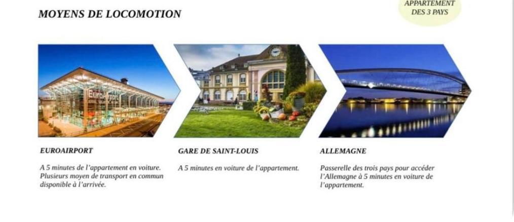 Appartement Des 3 Pays. 2 Mn De Bale+ Free Parking Saint-Louis  Buitenkant foto