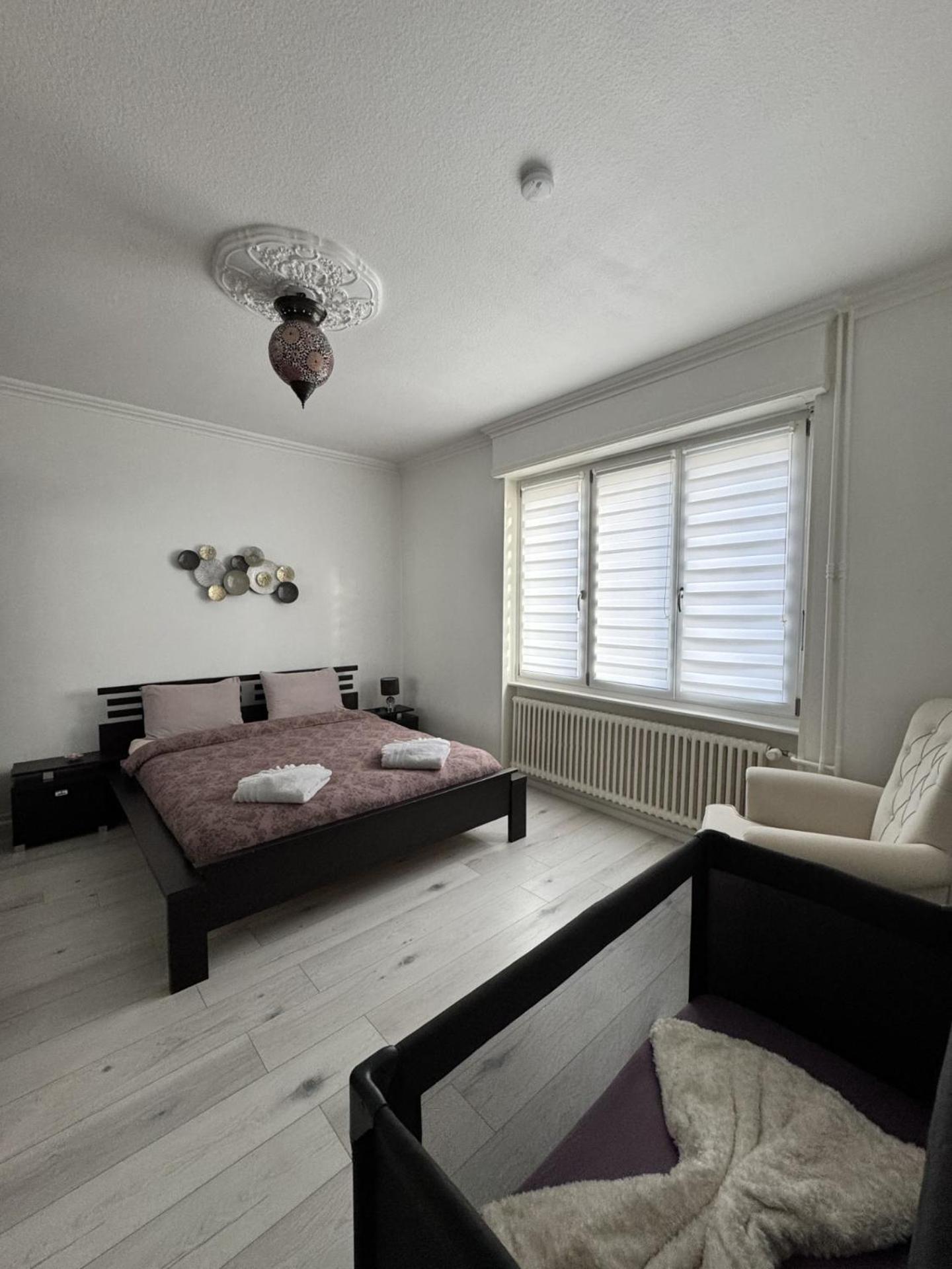 Appartement Des 3 Pays. 2 Mn De Bale+ Free Parking Saint-Louis  Buitenkant foto