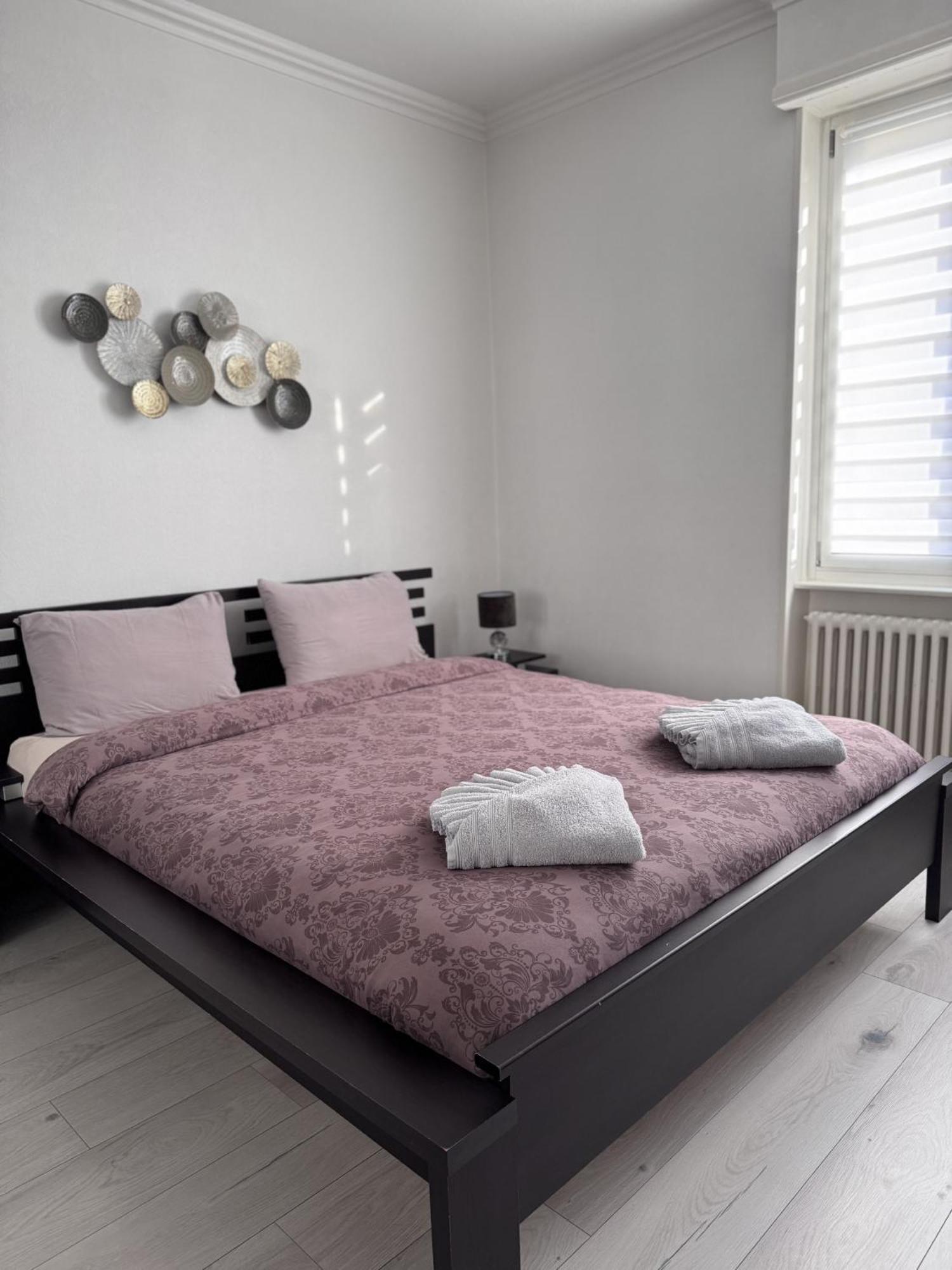 Appartement Des 3 Pays. 2 Mn De Bale+ Free Parking Saint-Louis  Buitenkant foto